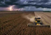 Pronóstico agropecuario: sábado con tormentas, domingo con viento y lunes con calma Vista aérea de una cosechadora New Holland trabajando sobre soja R7 en la Pampa Húmeda, bajo cielo de tormenta con lluvia, relámpagos y viento sobre el cultivo.