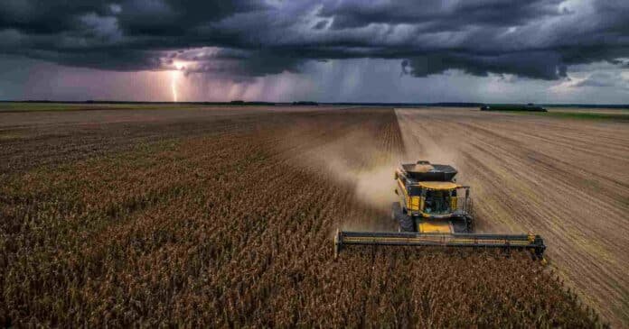 Vista aérea de una cosechadora New Holland trabajando sobre soja R7 en la Pampa Húmeda, bajo cielo de tormenta con lluvia, relámpagos y viento sobre el cultivo.