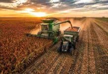 La cosecha de sorgo 2025/26 avanza al 49% y los rindes sostienen las expectativas de producción Cosechadora recolectando sorgo granífero en un lote maduro de la región agrícola argentina durante la campaña 2025/26, con cultivo listo para cosecha y condiciones favorables de producción.