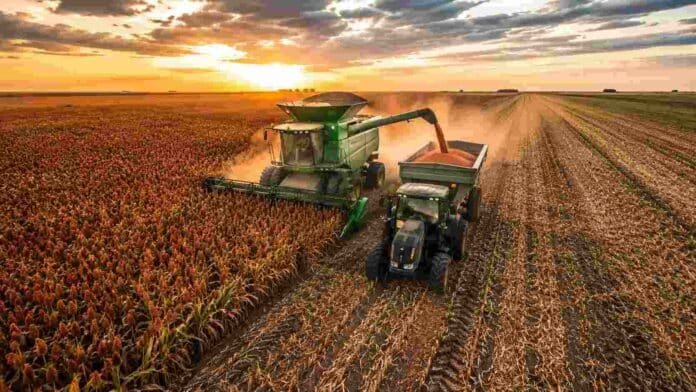 Cosechadora recolectando sorgo granífero en un lote maduro de la región agrícola argentina durante la campaña 2025/26, con cultivo listo para cosecha y condiciones favorables de producción.