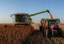 Sorgo 2025/26: Centro-Norte de Córdoba lidera con 56,2 qq/ha mientras la producción se proyecta en 2,9 MTn Cosechadora CLAAS descargando sorgo granífero sobre una tolva sin marca, remolcada por un tractor Massey Ferguson en un campo de la zona núcleo.
