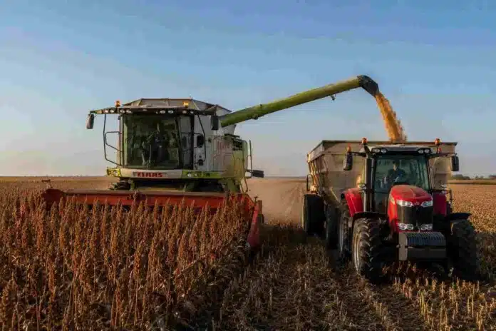 cosecha-sorgo-claas-massey-tolva-ruralnet Cosechadora CLAAS descargando sorgo granífero sobre una tolva sin marca, remolcada por un tractor Massey Ferguson en un campo de la zona núcleo.