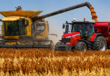 El sorgo retrocede tras el boom de 2024/25, aunque la producción cae menos de lo esperado. Cosecha de sorgo en un campo argentino con una cosechadora descargando granos sobre una tolva remolcada por un tractor Massey Ferguson rojo