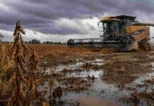 Exceso de humedad y lluvias frenaron la recolección de soja, maíz y algodón en el centro norte santafesino Cosechadora Challenger embarrada trabajando en un lote de soja con suelo inundado, bajo cielo de tormenta y clima adverso