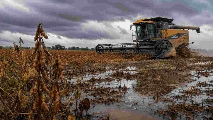 Cosechadora Challenger embarrada trabajando en un lote de soja con suelo inundado, bajo cielo de tormenta y clima adverso