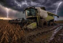 Dónde no se va a poder trabajar en el campo durante los próximos tres días Cosechadora encajada en el barro dentro de un lote de soja en estado avanzado, bajo un cielo de tormenta con relámpagos