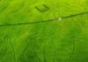 Alarma en el arroz: Entre Ríos podría sembrar la menor superficie de los últimos 26 años Vista aérea de un campo con cultivo de arroz en pleno desarrollo vegetativo, con intenso color verde, caminos internos y huellas de maquinaria agrícola sobre la superficie productiva.