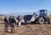 La lechería argentina no había producido ni exportado tanto en más de una década Producción y exportación de lácteos en Argentina, con vacas lecheras, tanque de transporte de leche, silos industriales y terminal portuaria para embarques internacionales.