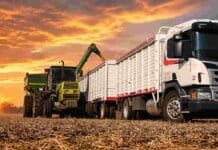Los costos de transporte de granos golpean la rentabilidad de los productores del norte santafesino Tractor descargando granos en un camión cerealero sobre un campo cosechado, con cielo de atardecer y colores cálidos en una escena rural.