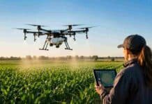 Drones agrícolas: la tecnología que ya está cambiando la forma de producir en el campo argentino Drone agrícola realizando una aplicación de precisión sobre un cultivo mientras una técnica monitorea el trabajo desde una tablet en el campo.