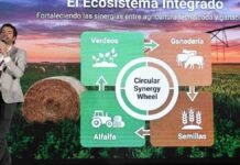 Del campo a la góndola: cómo tres empresas argentinas le sacan todo el jugo al maíz Disertación sobre integración entre agricultura tecnificada y ganadería durante el Congreso Maizar.