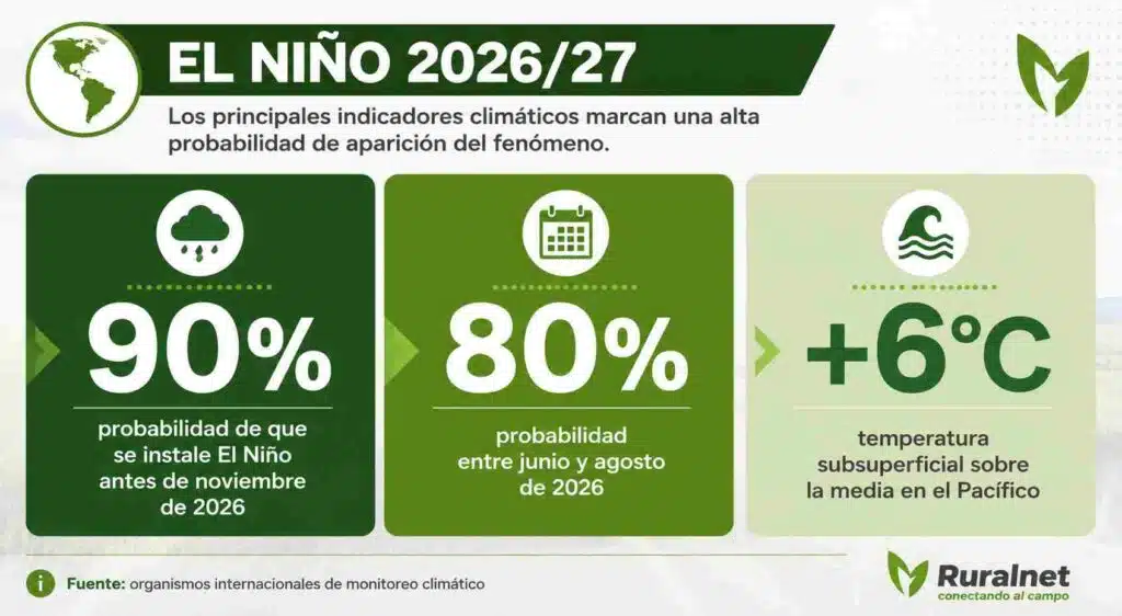 Infografía sobre el fenómeno El Niño 2026/27 que muestra una probabilidad del 90% de ocurrencia antes de noviembre de 2026, un 80% de probabilidad entre junio y agosto y una anomalía de +6 °C en la temperatura subsuperficial del océano Pacífico