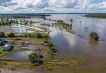 El Niño confirmado para lo que resta del año: qué hacer ahora para que las lluvias no se conviertan en pérdidas Vista aérea de campos y zonas ribereñas parcialmente inundadas en la cuenca del Plata, con exceso de agua tras lluvias intensas asociadas al fenómeno El Niño.