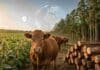 Para exportar a Europa hay un trámite nuevo que los productores de soja, carne y forestales no pueden ignorar Producción de soja, ganadería bovina y actividad forestal integradas con trazabilidad digital y geolocalización para exportaciones agroindustriales.