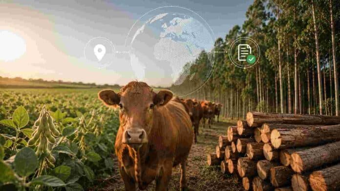 eudr-geolocalizacion-soja-carne-forestales-compressed Producción de soja, ganadería bovina y actividad forestal integradas con trazabilidad digital y geolocalización para exportaciones agroindustriales.