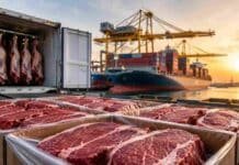 El Consorcio ABC se reunió con Caputo para hablar de exportaciones de carne: China, EE.UU., Europa y el sudeste asiático en la agenda Carne bovina argentina preparada para exportación en un puerto con contenedores refrigerados y buque de carga al atardecer.