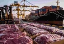 La faena bovina sube en mayo pero acumula casi un 10% menos que el año pasado Cortes de carne vacuna embalados para exportación en un puerto, con grúas, contenedores y un buque de carga al fondo.