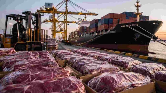 exportaciones-carne-puerto-buque-carga Cortes de carne vacuna embalados para exportación en un puerto, con grúas, contenedores y un buque de carga al fondo.