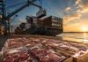 Carne vacuna: suben exportaciones y cae el consumo en Argentina Cajas con cortes premium de carne vacuna argentina envasados al vacío sobre pallets de exportación en un puerto, con un buque portacontenedores y grúas cargando contenedores refrigerados al atardecer.