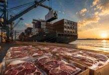 Carne vacuna: suben exportaciones y cae el consumo en Argentina Cajas con cortes premium de carne vacuna argentina envasados al vacío sobre pallets de exportación en un puerto, con un buque portacontenedores y grúas cargando contenedores refrigerados al atardecer.