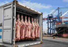 Exportaciones de carne vacuna crecieron 42% en valor y alcanzaron los USD 425 millones en mayo Contenedor frigorífico con carne vacuna destinada a exportación en una terminal portuaria, junto a un buque de carga utilizado para el comercio exterior argentino.