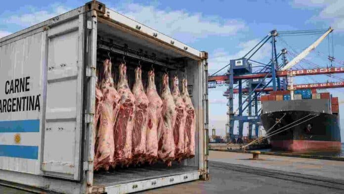 exportaciones-carne-vacuna-china-puerto-ruralnet Contenedor frigorífico con carne vacuna destinada a exportación en una terminal portuaria, junto a un buque de carga utilizado para el comercio exterior argentino.