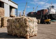 Las exportaciones de lana argentina subieron 57% y China pasó a comprar el doble que antes Fardos de lana argentina acondicionados para exportación en una terminal portuaria, con contenedores, buque de carga y operaciones logísticas vinculadas al comercio internacional de fibra ovina.