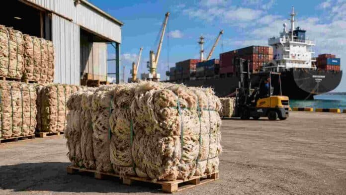 exportaciones-lana-argentina-china-ruralnet Fardos de lana argentina acondicionados para exportación en una terminal portuaria, con contenedores, buque de carga y operaciones logísticas vinculadas al comercio internacional de fibra ovina.