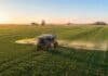 Baja histórica de la urea: los productores de la región núcleo apuntan a refertilizar el trigo y ampliar la superficie de maíz Vista aérea de un lote de trigo en pleno macollaje en la región pampeana argentina, con una fertilizadora autopropulsada aplicando urea sobre el cultivo durante una mañana invernal de cielo despejado.