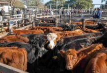 Cierre del mercado de hacienda el 18 de junio