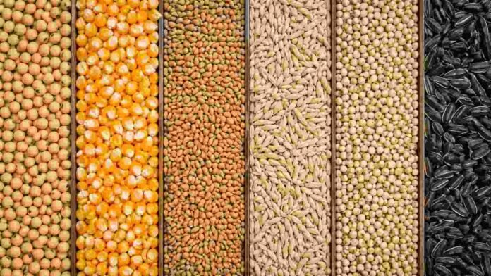 Soja, maíz, trigo, avena, sorgo y girasol separados por líneas en vista superior.