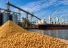 Brasil amenaza liderazgo argentino en harina de soja Harina de soja y granos de soja en una terminal portuaria con silos y buque de carga, representando la exportación del complejo sojero argentino y la competencia internacional en el mercado de subproductos.