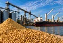 Brasil amenaza liderazgo argentino en harina de soja Harina de soja y granos de soja en una terminal portuaria con silos y buque de carga, representando la exportación del complejo sojero argentino y la competencia internacional en el mercado de subproductos.