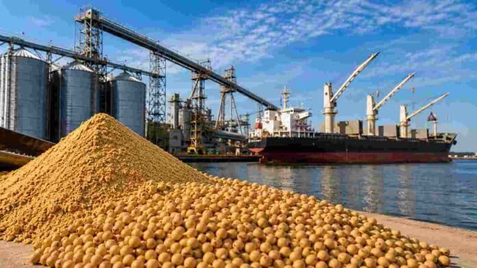 Harina de soja y granos de soja en una terminal portuaria con silos y buque de carga, representando la exportación del complejo sojero argentino y la competencia internacional en el mercado de subproductos.