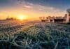Heladas generalizadas y frío intenso: el pronóstico agropecuario del 23 al 25 de junio Campo con pasturas cubiertas de helada al amanecer, hacienda al fondo entre neblina y luz fría, representando el avance de aire frío sobre zonas rurales.