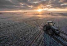 Frío polar y heladas en 16 provincias: el campo argentino en alerta del 24 al 26 de junio