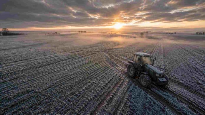 helada-trigo-emergido-tractor-amanecer-ruralnet