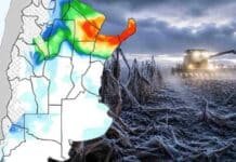 El mapa de lluvias hasta el 22 de junio: dónde llueve y dónde no en el campo argentino Mapa agroclimático con zonas bajo alerta por heladas en el norte argentino junto a una cosechadora trabajando en un lote de maíz afectado por bajas temperaturas, con escarcha sobre el cultivo y ambiente frío de invierno.