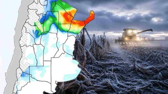 heladas-intensas-y-alerta-agropecuaria-en-el-norte-argentino Mapa agroclimático con zonas bajo alerta por heladas en el norte argentino junto a una cosechadora trabajando en un lote de maíz afectado por bajas temperaturas, con escarcha sobre el cultivo y ambiente frío de invierno.