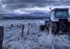 Heladas, nieve y temperaturas de hasta -3°C: así estará el tiempo en el campo este fin de semana