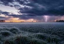 Heladas generalizadas y tormentas fuertes: las provincias que estarán bajo riesgo hasta el jueves Campo argentino cubierto de escarcha al amanecer, con neblina baja, tormenta oscura en el horizonte y dos relámpagos sobre la llanura.