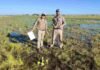 El INTA descubrió que 1 millón de hectáreas de Córdoba son humedales sin que casi nadie lo sepa Técnicos realizando monitoreo ambiental en un humedal inundado de Córdoba, con vegetación natural y presencia de agua en una amplia llanura