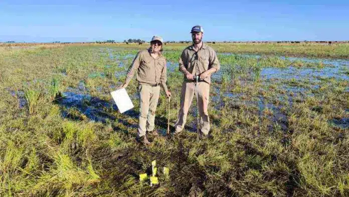 humedales-cordoba-monitoreo-ambiental Técnicos realizando monitoreo ambiental en un humedal inundado de Córdoba, con vegetación natural y presencia de agua en una amplia llanura