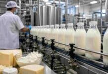 El Gobierno eliminó un registro que regía la lechería argentina desde 2006 Planta industrial láctea con botellas de leche en línea de producción, operario controlando maquinaria y productos como queso y ricota en primer plano.