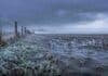 Pronóstico para el fin de semana en el campo: lluvias y heladas de hasta -3°C con posibles nevadas en zonas productivas Campo agropecuario argentino bajo lluvia fina y frío intenso, con suelo encharcado, rastrojo cubierto de escarcha, alambrado con hielo y cielo gris de invierno.