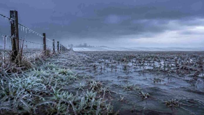 lluvia-helada-y-escarcha-en-campo-agropecuario Campo agropecuario argentino bajo lluvia fina y frío intenso, con suelo encharcado, rastrojo cubierto de escarcha, alambrado con hielo y cielo gris de invierno.