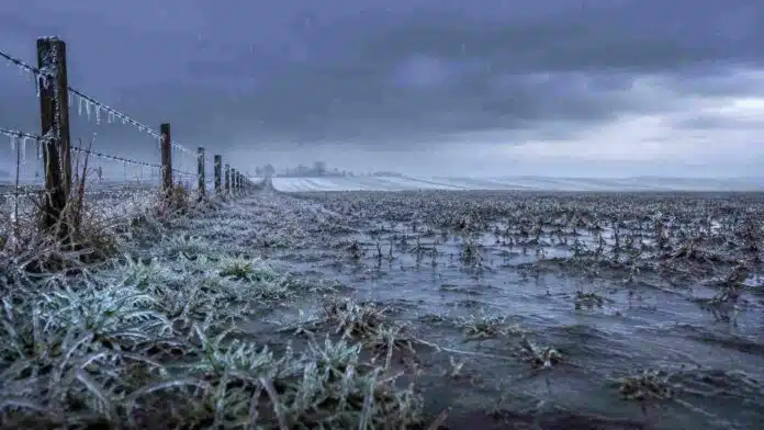 Campo agropecuario argentino bajo lluvia fina y frío intenso, con suelo encharcado, rastrojo cubierto de escarcha, alambrado con hielo y cielo gris de invierno.