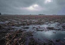Córdoba: mayo cerró con menos lluvias, temperaturas más bajas y crece la probabilidad de El Niño Lluvia intensa sobre un campo en barbecho con suelo mojado, charcos y rastrojo de maíz bajo un cielo gris de tormenta.
