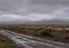 Lluvias persistentes ponen bajo alerta a sectores de la Patagonia: esperan hasta 15 mm Majada de ovejas bajo lluvia persistente en la meseta patagónica, con caminos embarrados, vegetación esteparia y la cordillera nevada visible a lo lejos bajo un cielo gris cubierto de nubes bajas.