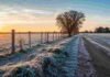 El jueves 2 de julio podría ser el día más frío del año: ola polar con heladas, nevadas y hasta -2 °C en la pampa húmeda Campo argentino cubierto por una intensa helada al amanecer, con escarcha sobre el pasto y camino rural bajo un cielo despejado durante el ingreso de una masa de aire polar.